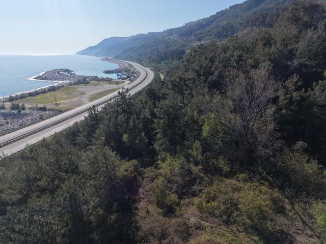Bafra Vıp Gym.den Gerze Yenikent Köyünde 15.936m2 Satılık Tarla 5