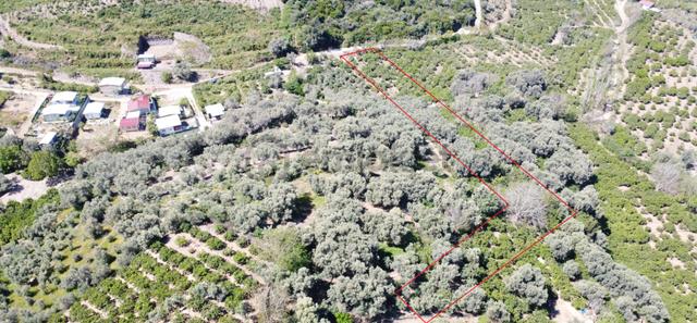 İzmir Menderes Özdere’de Kaçırılmayacak Fırsat! 4