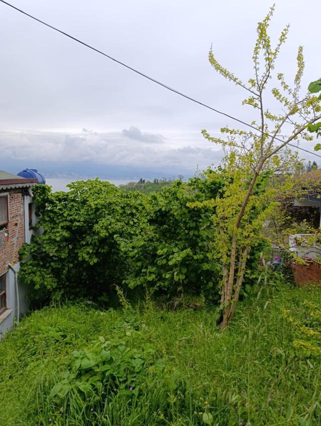 Fatsa Yalıköy Satılık Arazi Ful Deniz Manzaralı 2