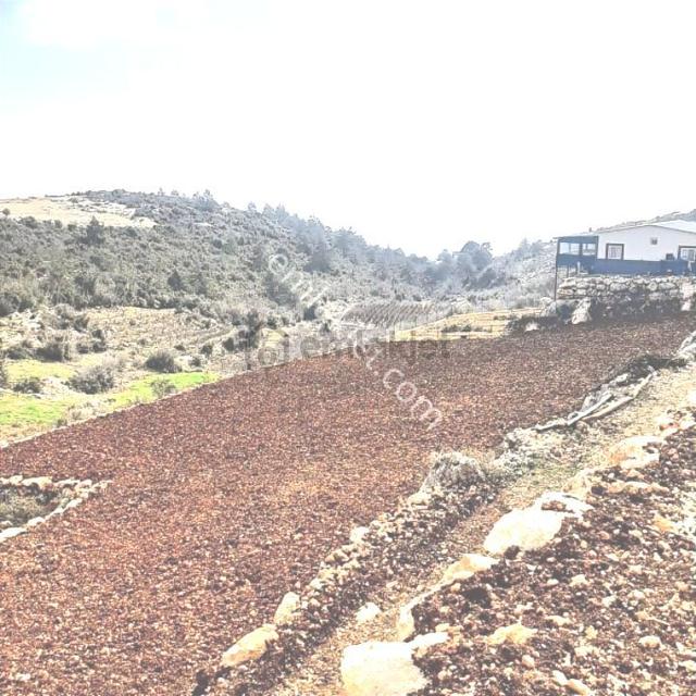 Erdemli Sıraç Tömekli De Satılık İmarlı Müstakil Köy İçi Arsa 5