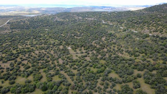Hacıömerlide Satılık 20.000m2 Yola Cephe Satılık Arazi 5