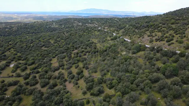 Hacıömerlide Satılık 20.000m2 Yola Cephe Satılık Arazi 2