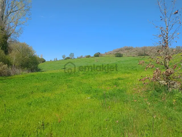 Çanakkale/biga- Karaağaç Köyünden Sahibinden Satılık Tarla 4