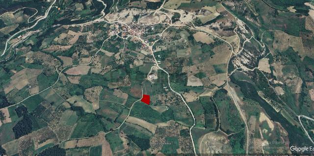 Roma' Dan Doğanyurdu Mahallesin' De Satılık Tarla 3