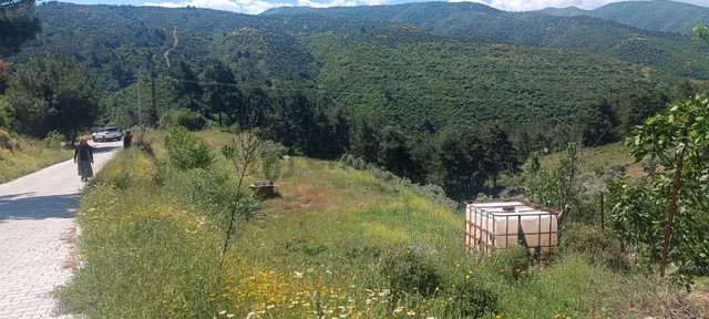 Ağabey Gayrimenkul Den Bozkır Mahallesinde Satılık Arazi 4