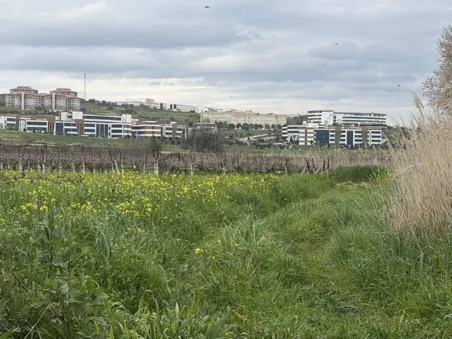 Manisa Yağcılar Satılık Arsa 2