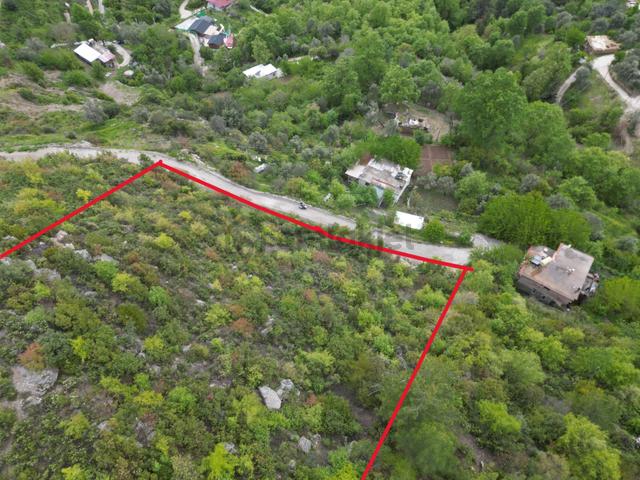 Alanya Üzümlü Köyü’nde Daire Takaslı Baraj Manzaralı Satılık 2350 M2 Tarla 5