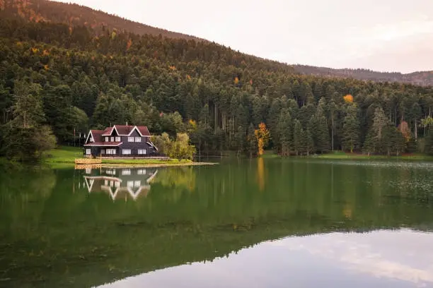Bolu Göynük'te Satılık 5.464m² Resmi Yola Cepheli Arazi
