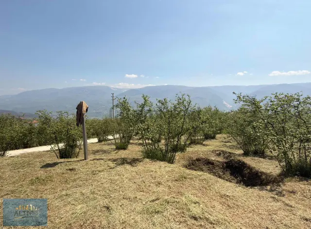 Doğanın İçinde Manzaralı Köşe Parsel Satılık Müstakil Ev 5