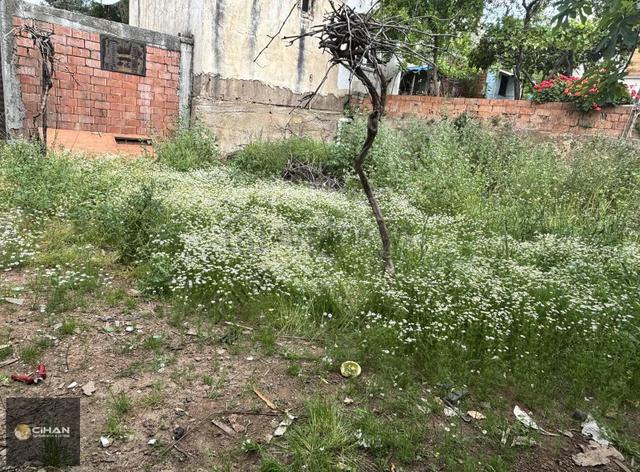 Aydın Balıkköy Afet Evlerinde 3+1 Bahçeli Giriş Katı Daıre 1