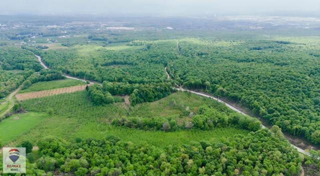 Sakarya Hendek Şeyhler 8.330 M² Tarla 118 Ada 2parsel Yatırımlık 4