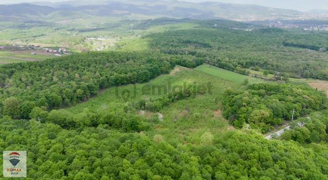 Sakarya Hendek Şeyhler 8.330 M² Tarla 118 Ada 2parsel Yatırımlık 2