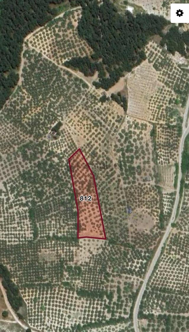Mudanya Yörükali Mahallesinde Satılık Zeytinlik 4