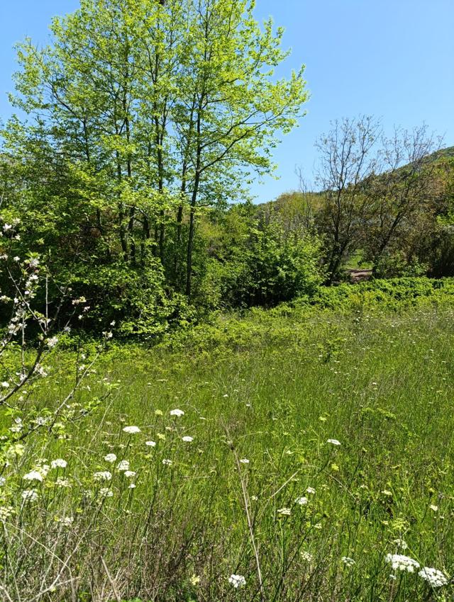 Balıkesir Erdek Kestanelik Mah. 949 M2 Satılık Bahçe Merkezi Konumda Yatırımlık 3