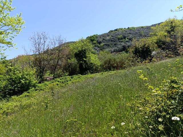 Balıkesir Erdek Kestanelik Mah. 949 M2 Satılık Bahçe Merkezi Konumda Yatırımlık 4