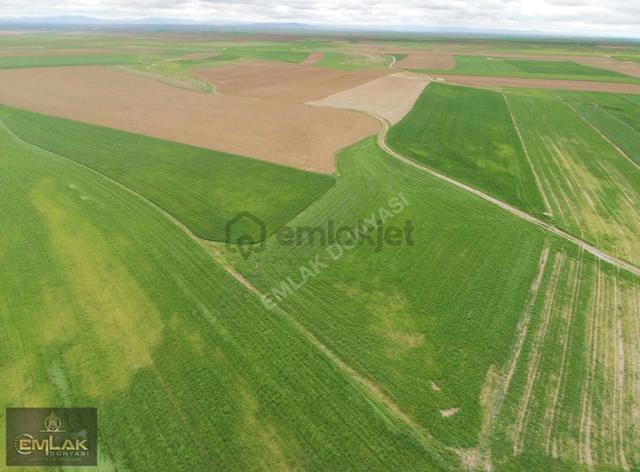 Eskişehirde Tek Tapu 3.992 M2 Otoyola Yakın Tarla 3