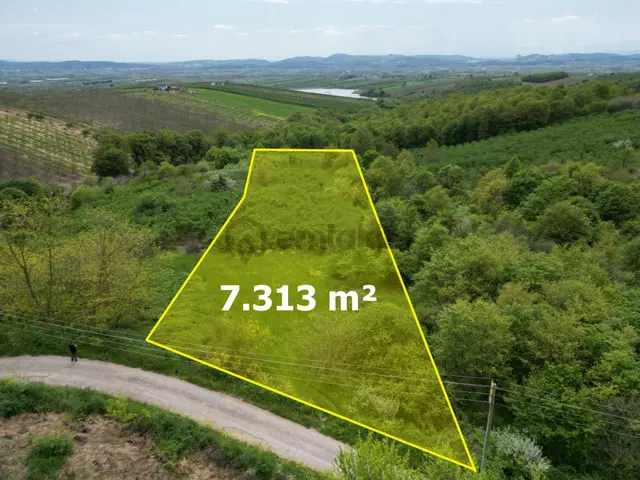Söğütlü 2.osb Yakını | Yol Cepheli, Altyapılı 7.313 M² Fındıklık 3