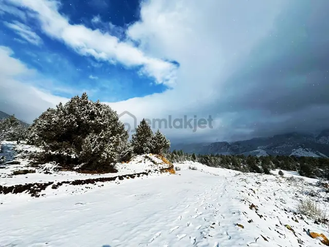 Kar Emlaktan Alpu Yaylasında 400m2 Satılık Arsa 3