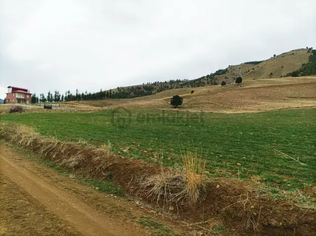 Kar Emlaktan Kamışlı Yaylasında 500m2 Satılık Arsa 2