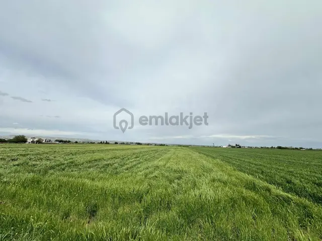 Yeşilloft Gayrimenkul'den Kupon Tarla 1