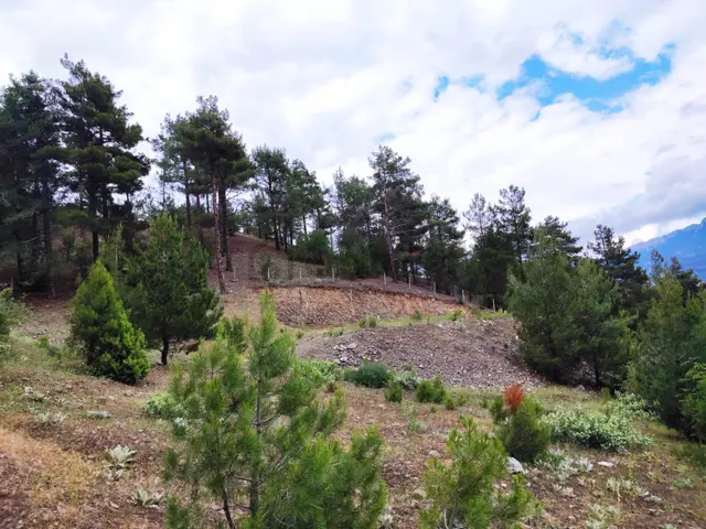 Kar Emlaktan İstiklal Mahallesinde 5 Kata İmarlı 400m2 Satılık Arsa 4
