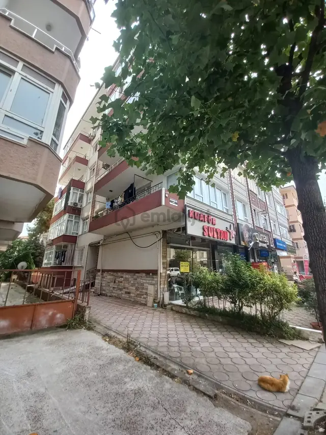 Turyap Çiftlikköy Ofisinden Yalova Fatih Cad. Eşyalı Kiralık 2+1 Daire 3