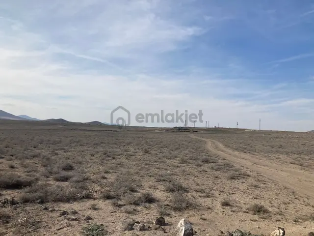 3ev Emlak'tan Konya Ereğli De 120 Dönüm Satılık Tarla 2