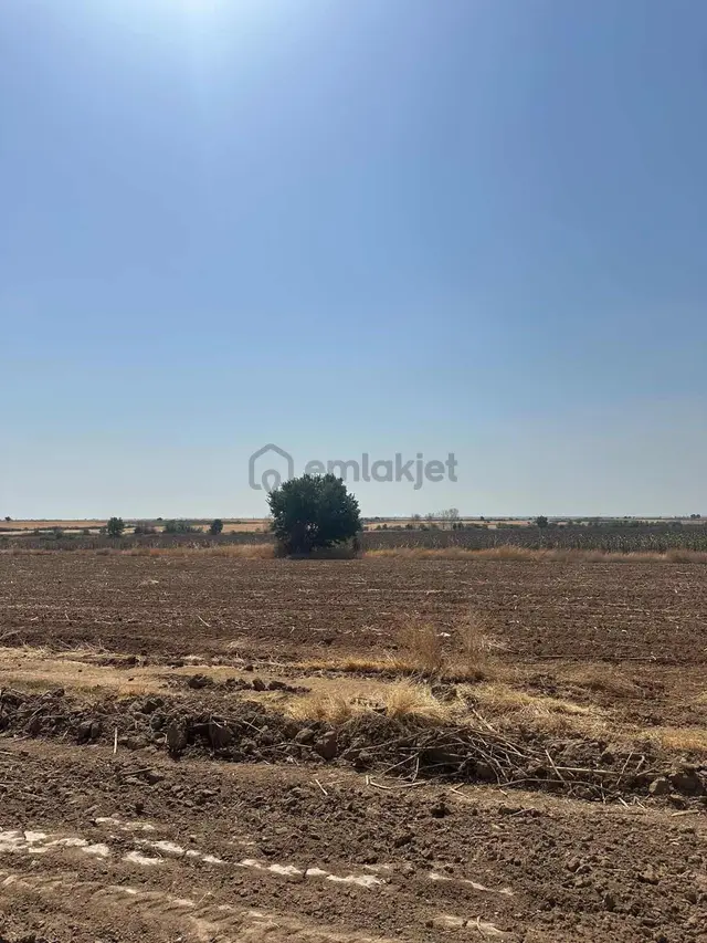 Bildin Gayrimenkul Den 258m2 Koyunbaba Köyünde Uygun Tarla 5