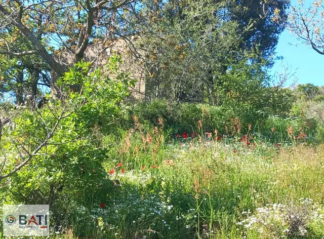 Torbalı Batı Gayrimenkul Den Satılık 80000 M2 Tarla 3