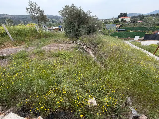 Seferihisar Doğanbey Kavakdere De Satılık 300 M2 Kupon Arsa 2