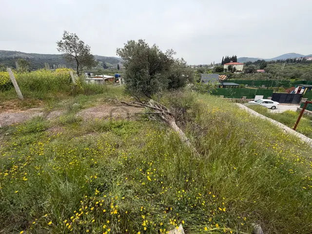 Seferihisar Doğanbey Kavakdere De Satılık 300 M2 Kupon Arsa Seferihisar Doğanbey Kavakdere De Satılık 300 M2 Kupon Arsa