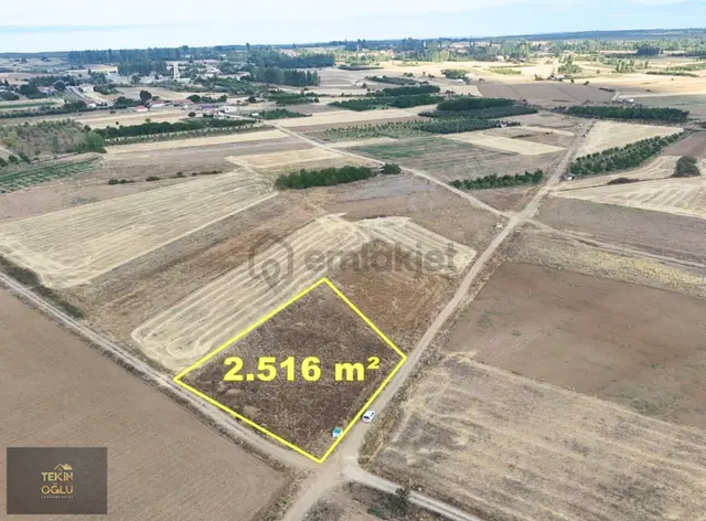 Beyşehir Göl Manzaralı 2.516 M² Köşe Parsel Müstakil Tarla 5