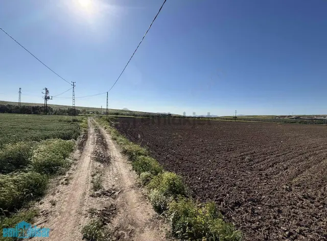 Akhisar Kayalıoğlu'nda Satılık Yola Cephe Tek Tapu 7600 M2 Tarla 2