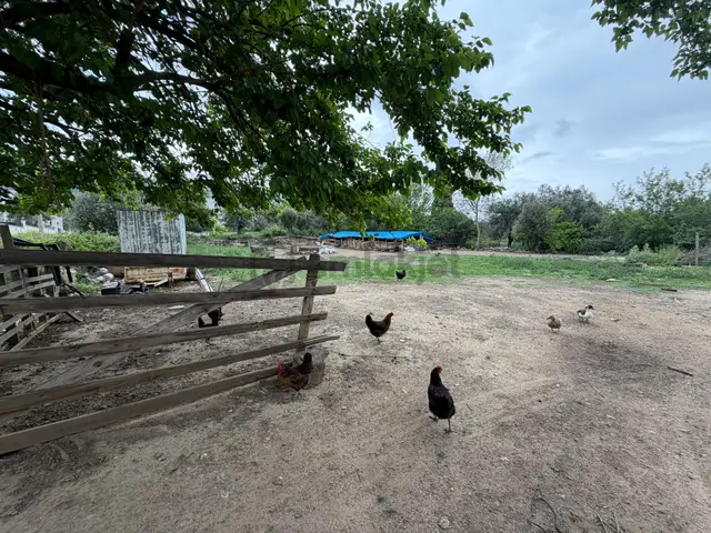 Mera Emlaktan Gürede Tam Müstakil 1 Villalık 350m2 İmarlı Arsa 4
