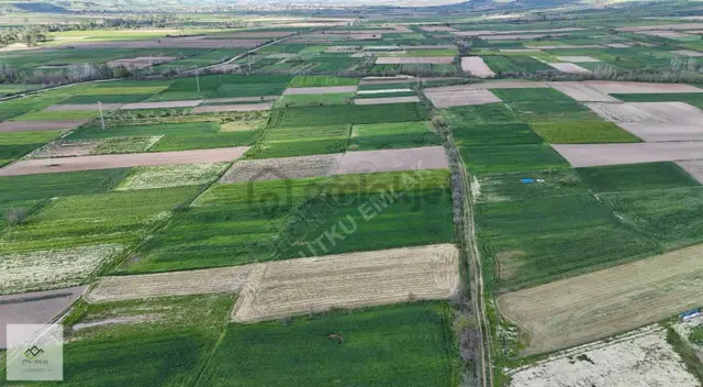 Babaeski Karahalil De 2000 M2 Belde Dibi Satılık Tarla 5