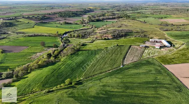 Utku Emlak'tan Babaeski Erikleryurdu Köyü 6761m2 Satılık Arazi 3