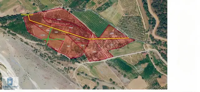 Köyceğiz Döğüşbelen'de 544 M2 Narenciye Bahçesi 3e Emlak 5
