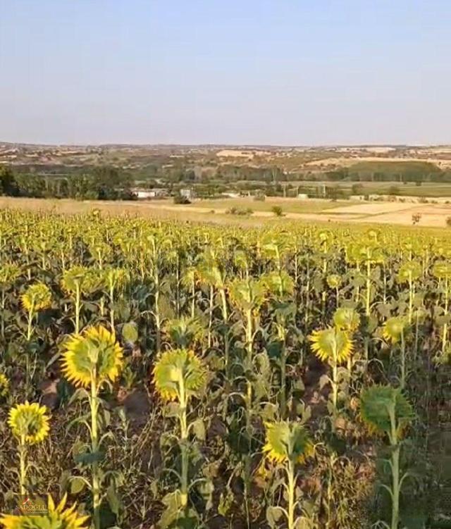 Koyunbaba'da 2.400 M2 Satılık Arazi 1