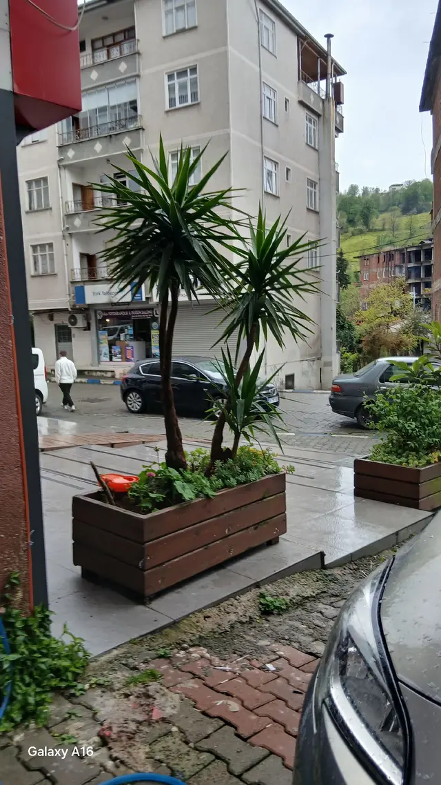 Hopa Kemalpaşa Da Çarşı İçinde 3
