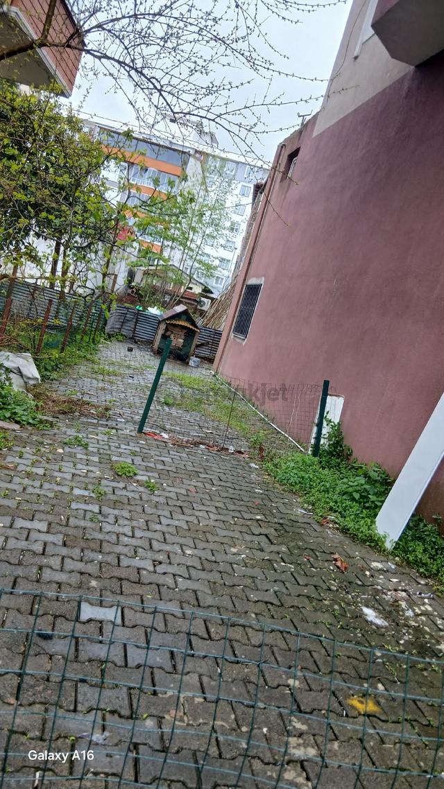 Hopa Kemalpaşa Da Çarşı İçinde 4