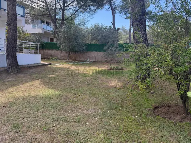 Ayvalık Sarımsaklı'da 3+1 Kiralık Müstakil Villa 3