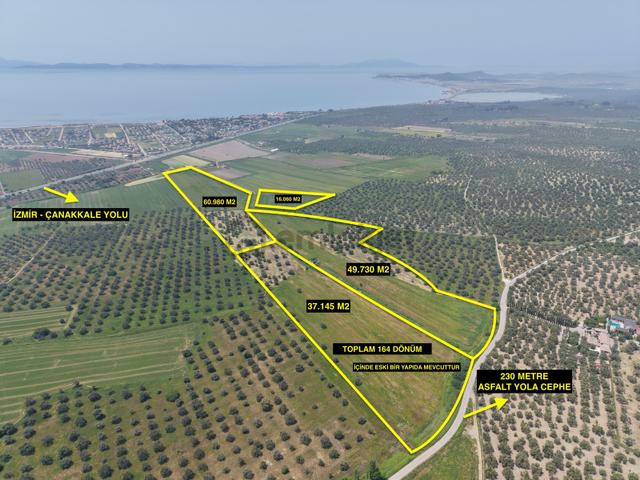 Pera Gayrimenkulden Ayvalık'ta Satılık 164 Dönüm Tarla-zeytinlik 5
