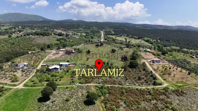 Ay Emlak'tan Yalova Armutlu Fıstıklıköyü Yayla Mevkii 5