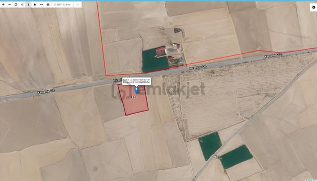 Tokiye Komşu, Yola Sıfır: Emirgazide Fırsat! 5
