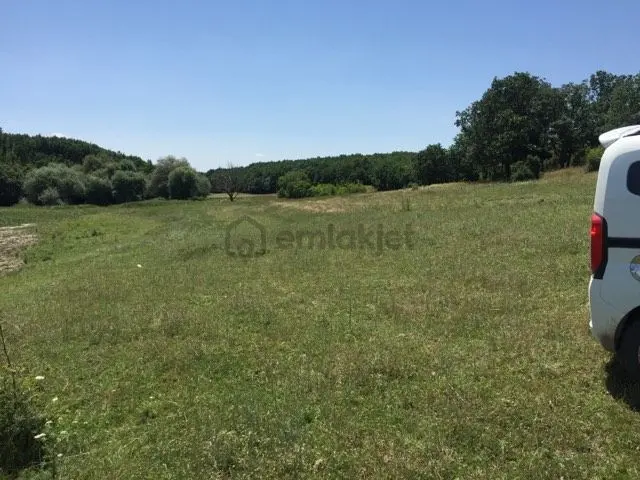 Edirne Meriçte Satılık Tarla Göl Kenarı Çiftlik Yeri 2350 M2 2