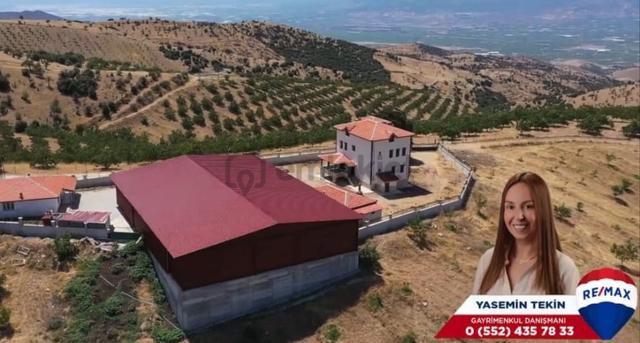 Manisa Kula 260 Dönüm Satılık Ceviz Çiftliği 3
