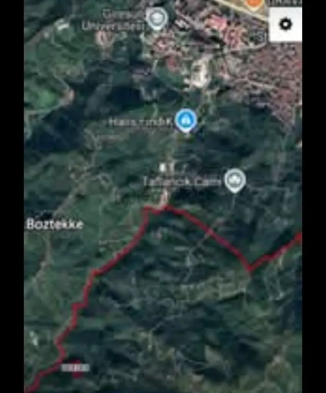 Satılık 8 Dönüm Fındık Bahcesi Giresun Merkezde 5