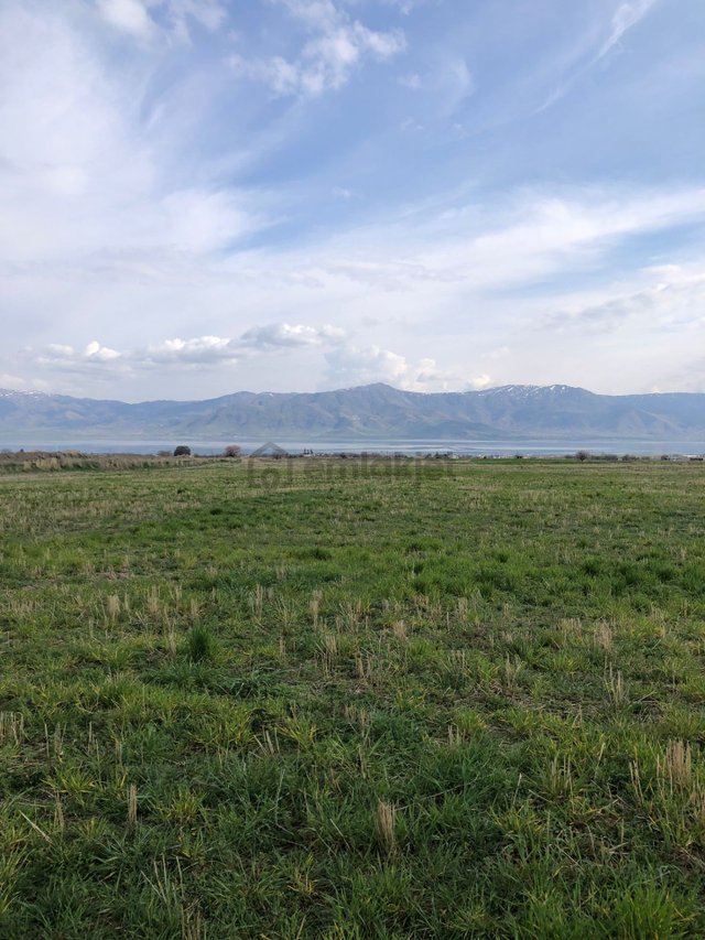 Mevsim Gayrimenkul Sedeftepe Mığı Bahçelik Yolu Olan Küçük Tarla Mevsim Gayrimenkul Sedeftepe Mığı Bahçelik Yolu Olan Küçük Tarla