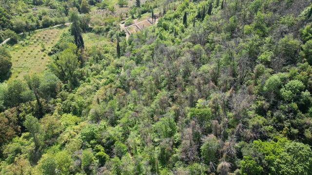 Karamürsel Dereköy 1698 M2 %5 İmarlı Satılık Parsel 4
