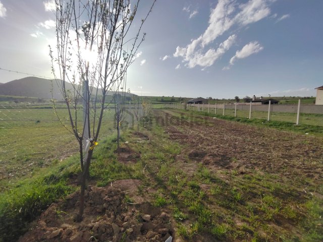 Talas Yazıyurdu Mahallesinde Yol Kenarı 740 M² Tel Örgülü Tarla Talas Yazıyurdu Mahallesinde Yol Kenarı 740 M² Tel Örgülü Tarla